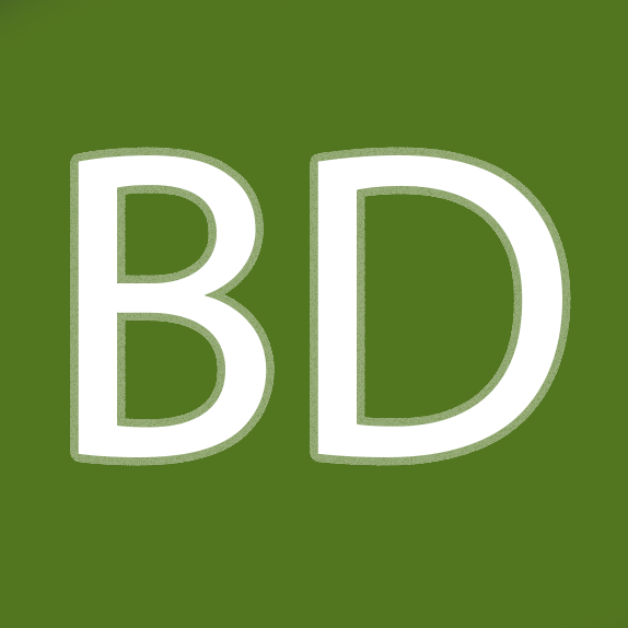 /img/experience/BD.png