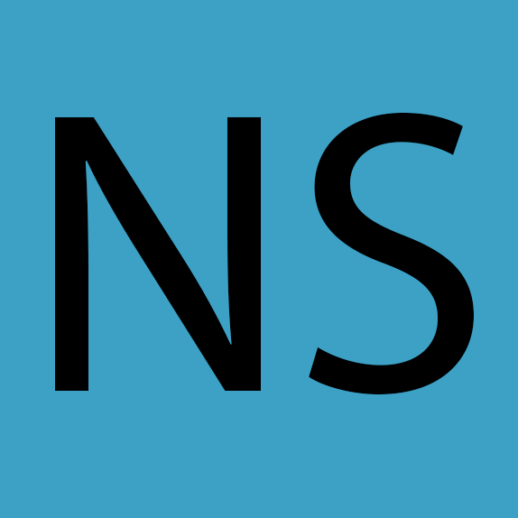 /img/experience/NS.png
